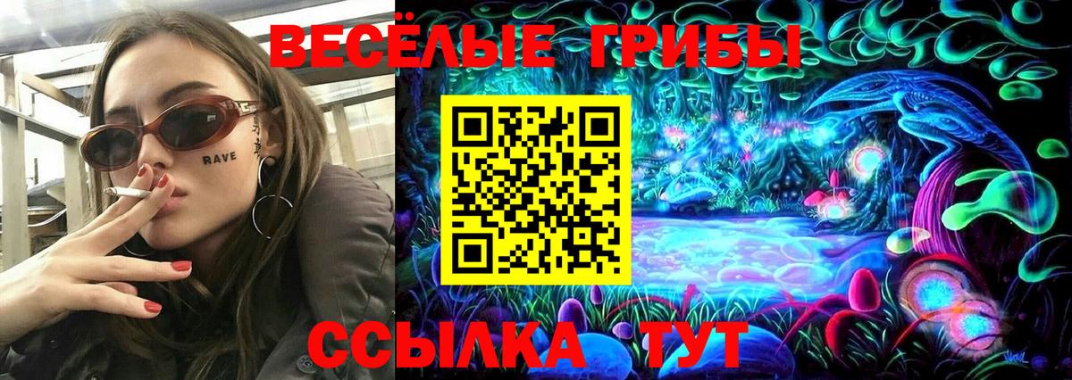 Сургут  Галлюциногенные грибы мицелий  как найти   Вход с VPN 